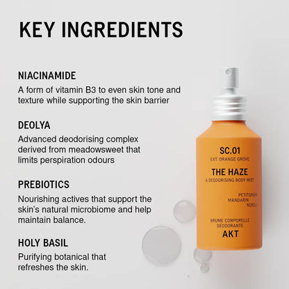The Haze - SC.01 ORANGE GROVE